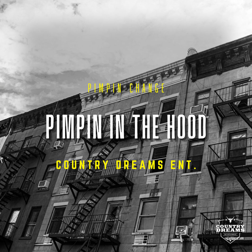 "Pimpin In The Hood": A Gritty Journey through Life's Realities